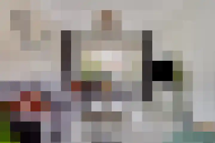Malvert 1137 Nijmegen thumbnail 8