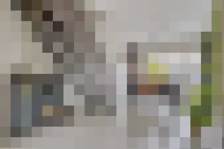 Malvert 1137 Nijmegen thumbnail 9