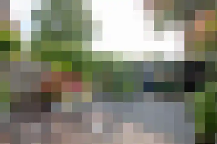 Malvert 1233 Nijmegen thumbnail 24