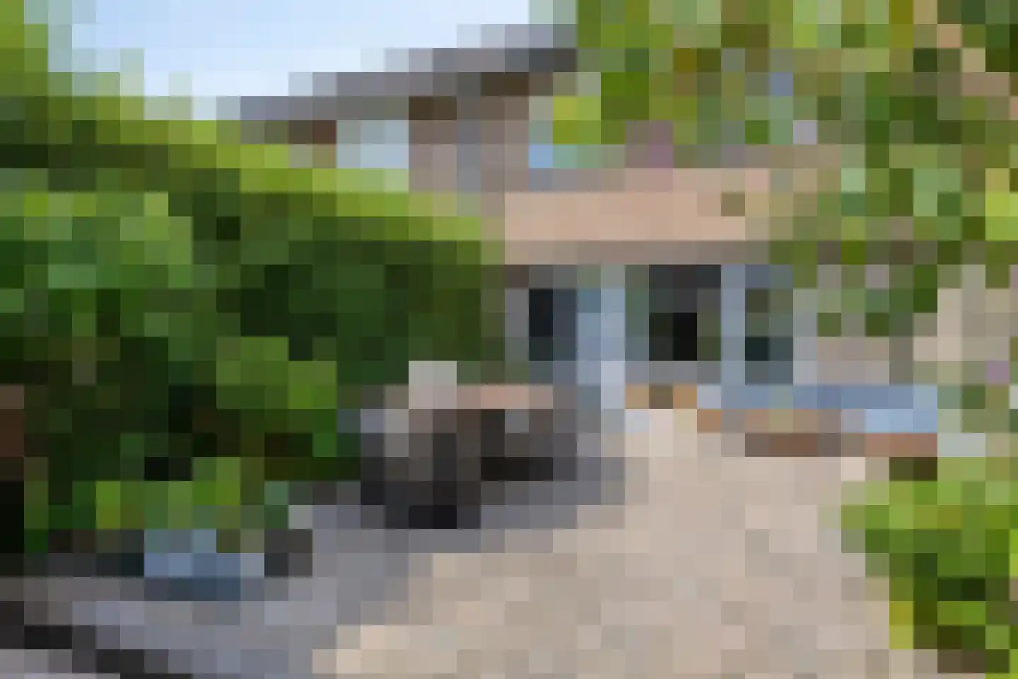 Malvert 2021 Nijmegen thumbnail 20