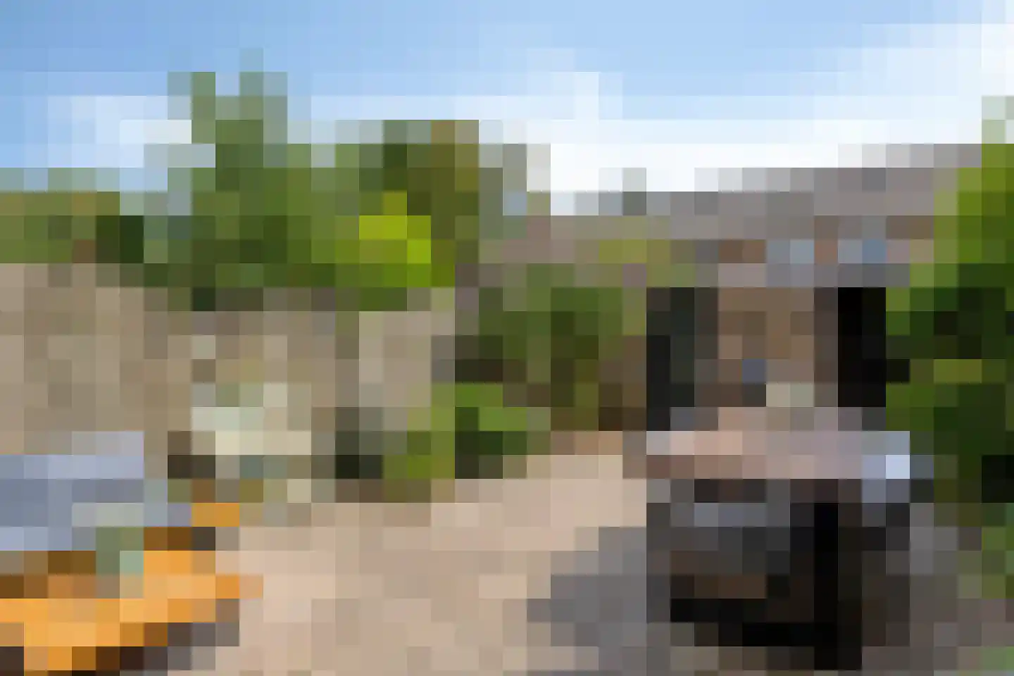 Malvert 2021 Nijmegen thumbnail 21