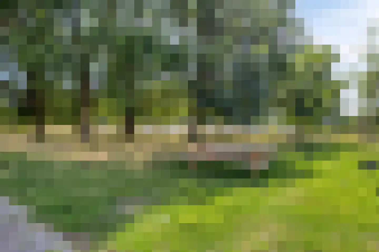 Malvert 2021 Nijmegen thumbnail 26
