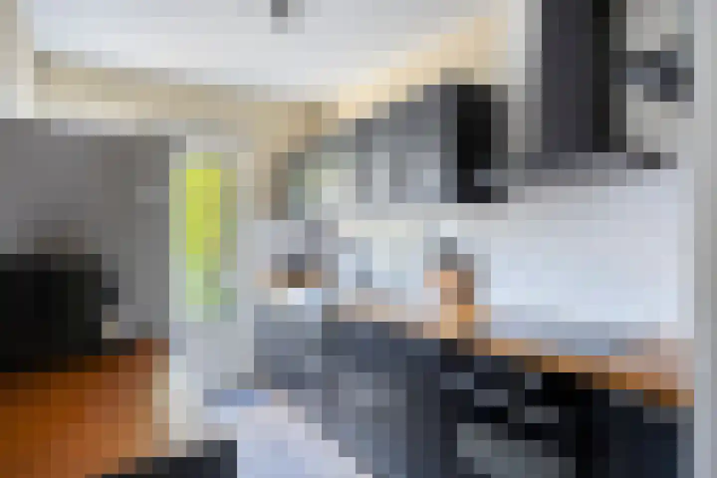 Malvert 2021 Nijmegen thumbnail 5