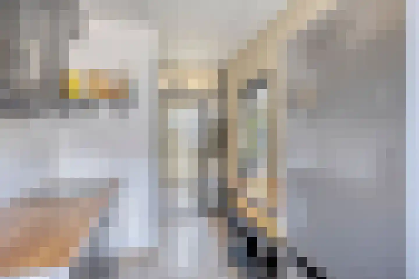 Malvert 2021 Nijmegen thumbnail 6