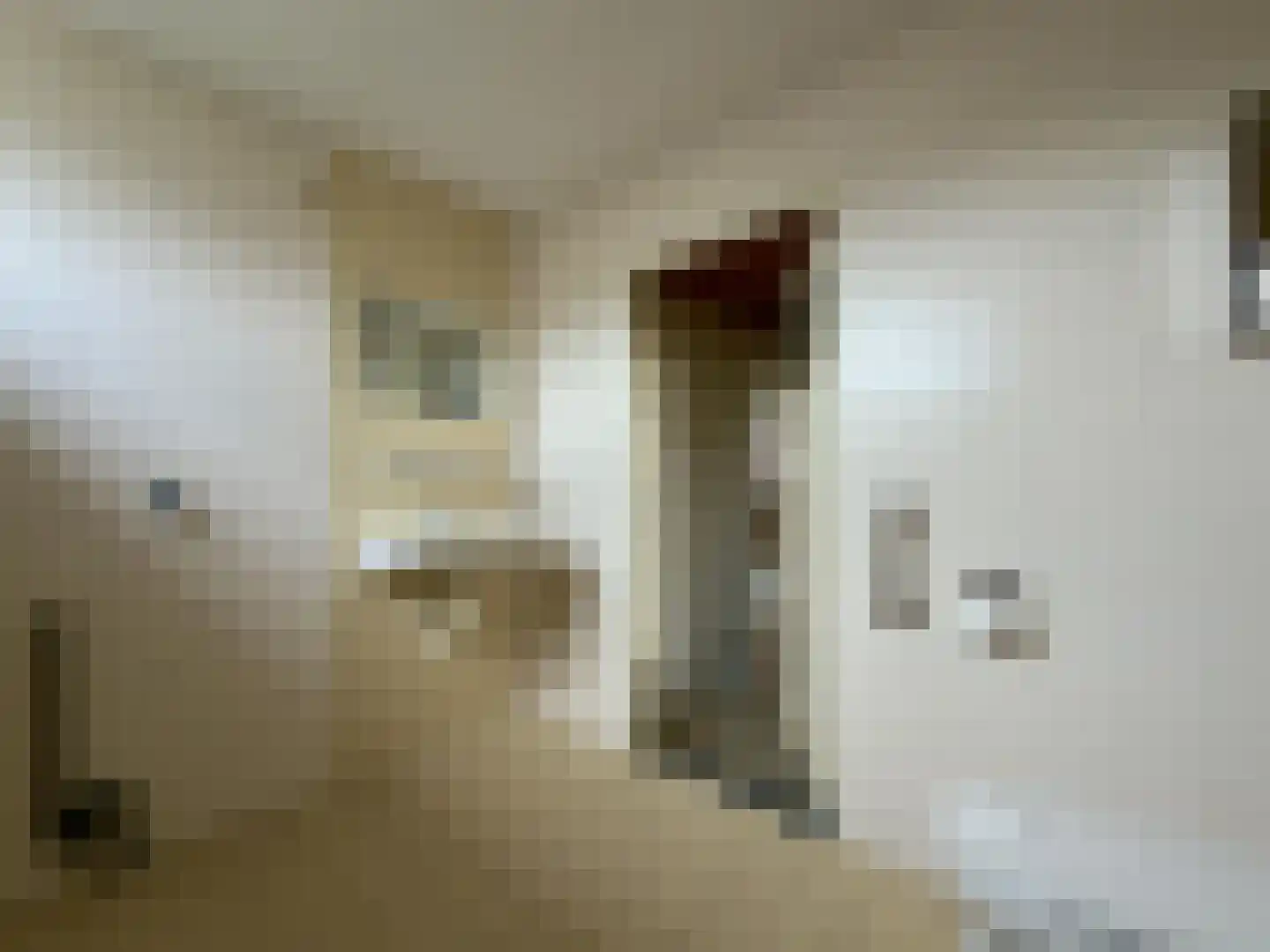 Malvert 2123 Nijmegen thumbnail 19