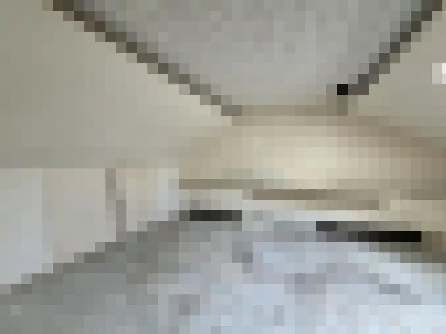 Malvert 2123 Nijmegen thumbnail 24