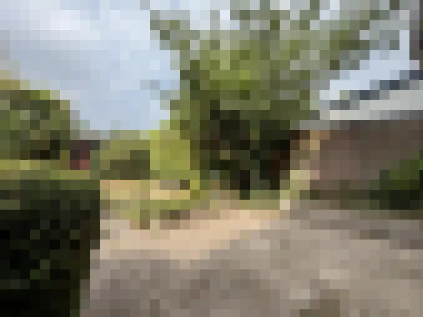 Malvert 2123 Nijmegen thumbnail 26