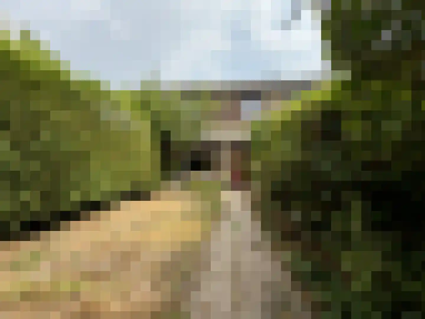 Malvert 2123 Nijmegen thumbnail 27