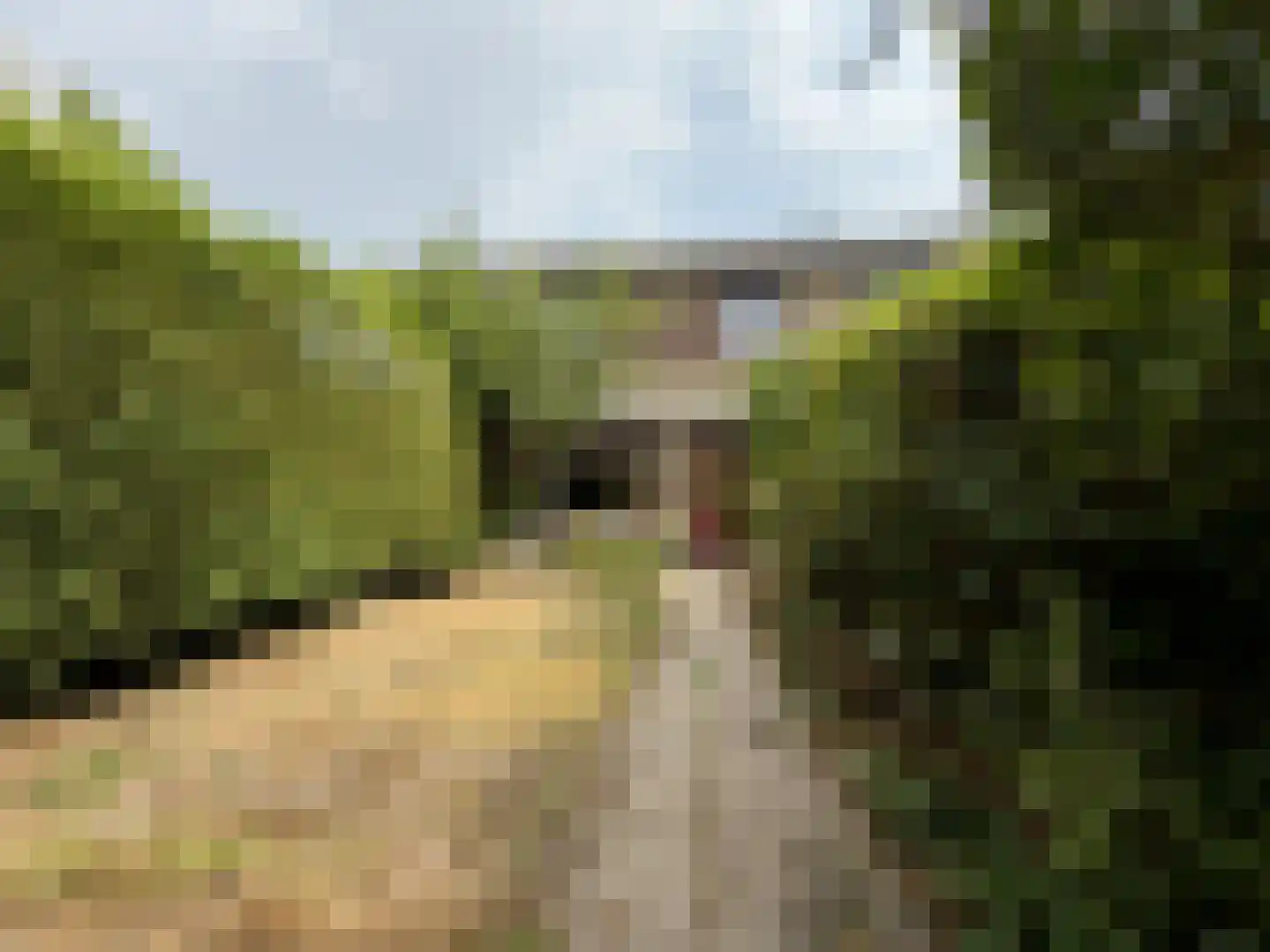 Malvert 2123 Nijmegen thumbnail 27