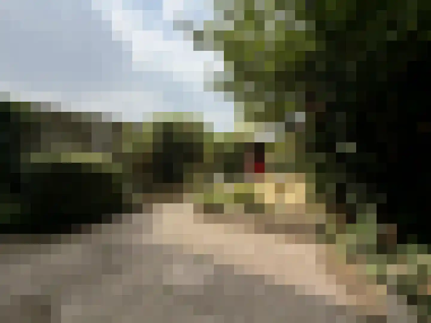 Malvert 2123 Nijmegen thumbnail 6