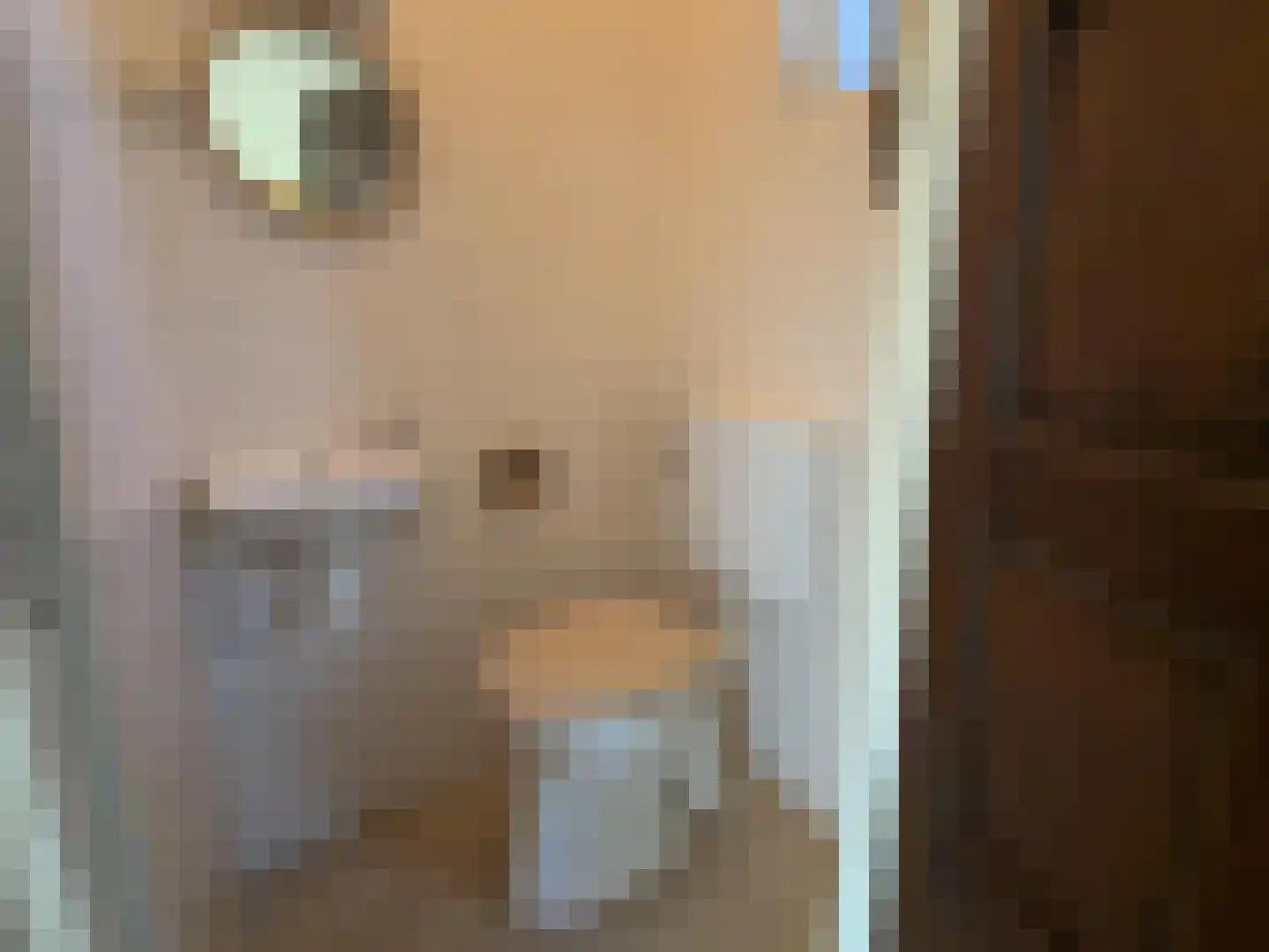 Malvert 2123 Nijmegen thumbnail 8
