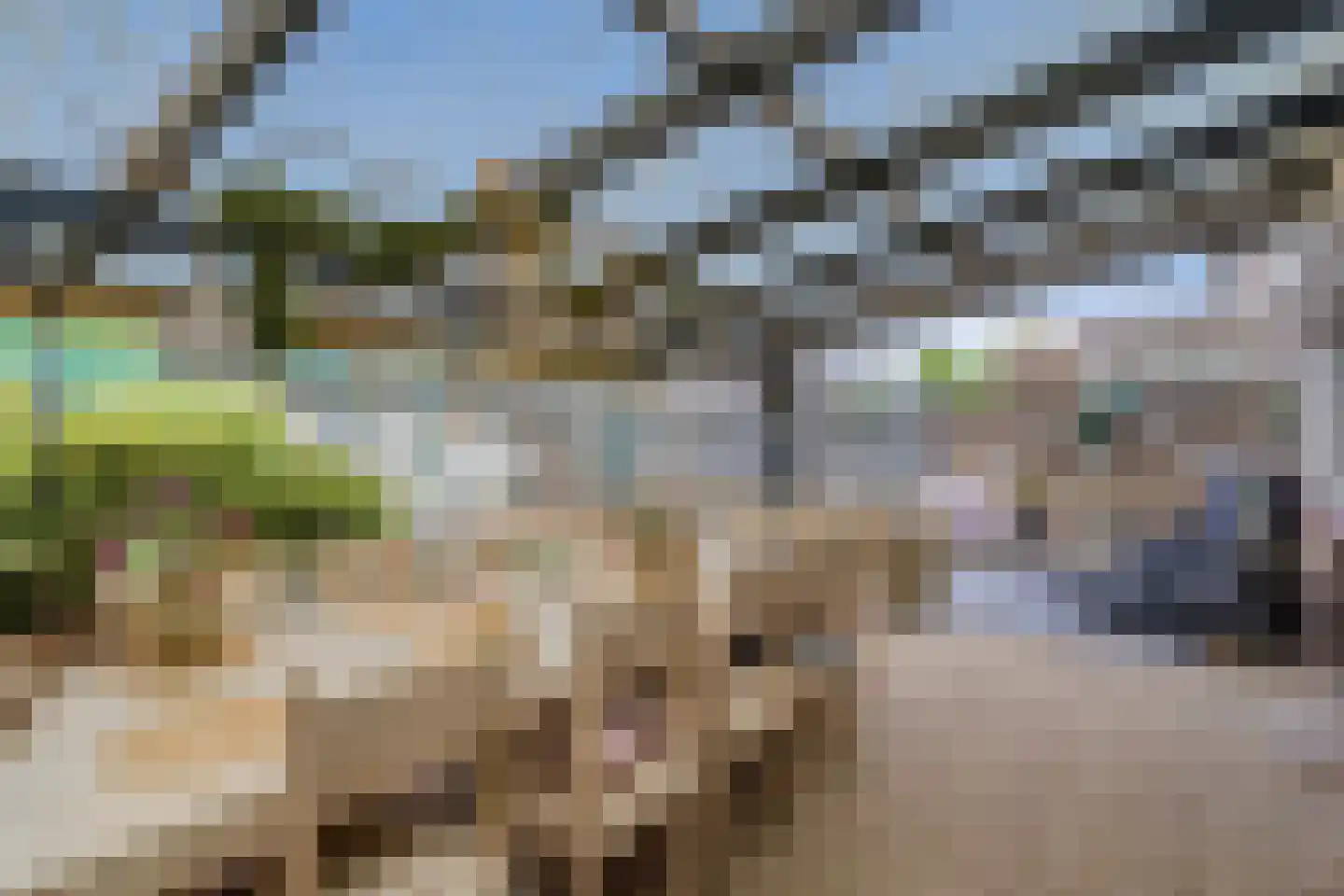 Malvert 2208 Nijmegen thumbnail 22