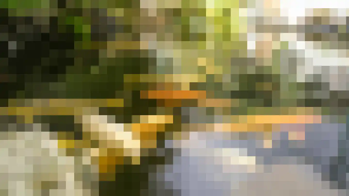 Malvert 2208 Nijmegen thumbnail 26