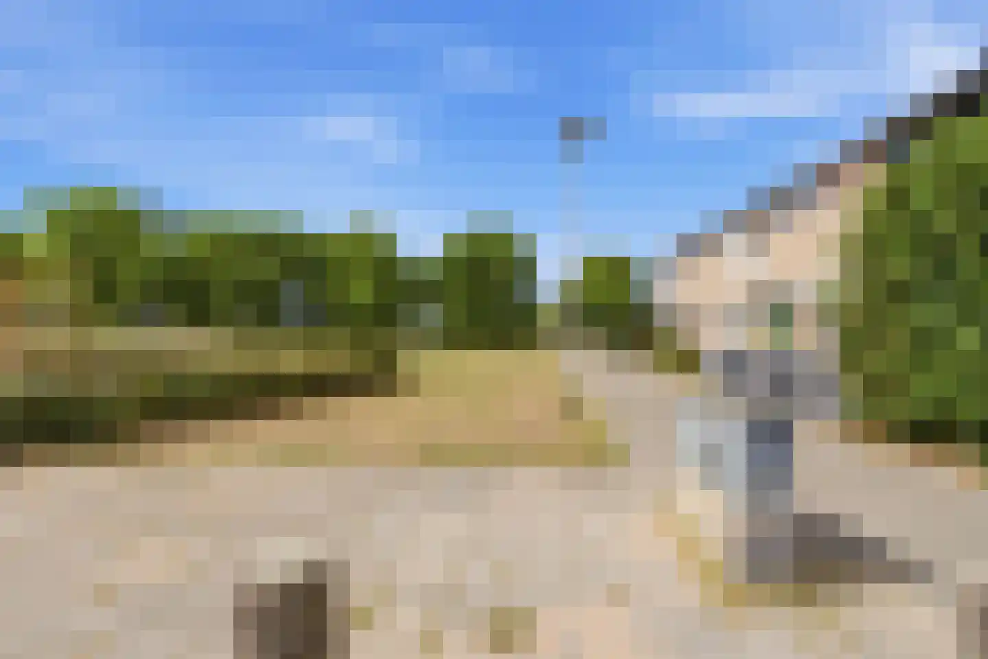 Malvert 2208 Nijmegen thumbnail 33