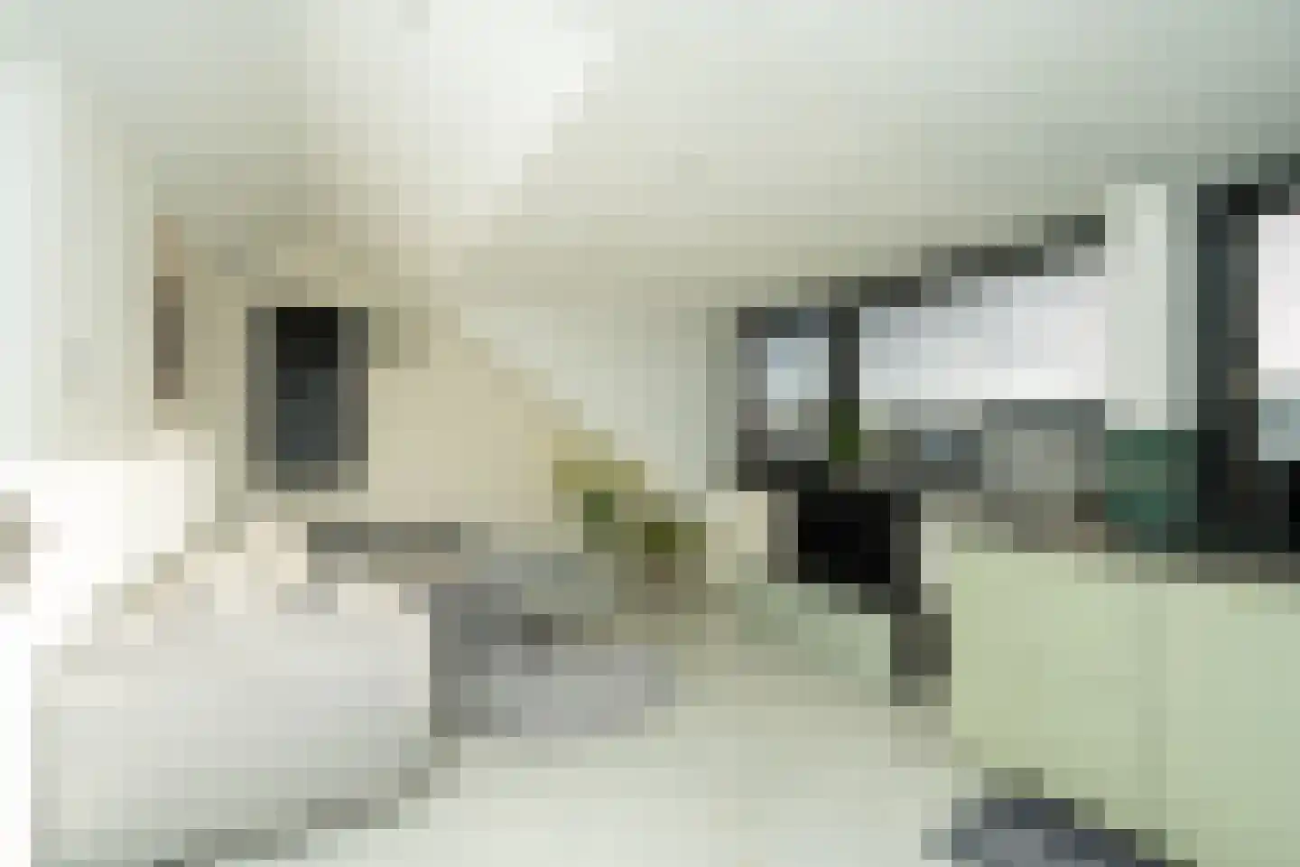 Malvert 2321 A Nijmegen thumbnail 19