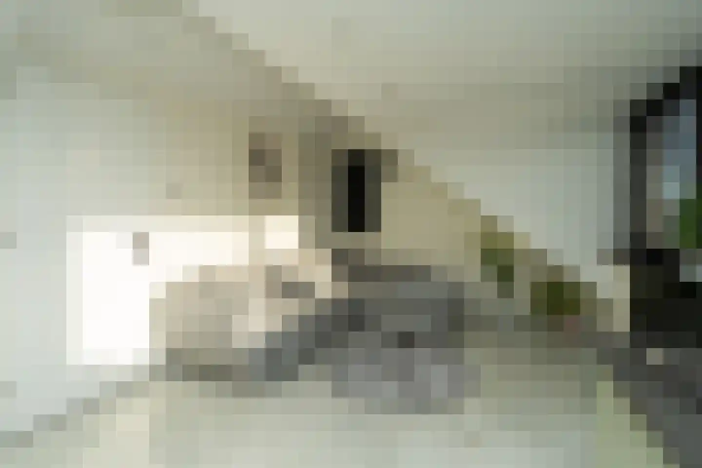 Malvert 2321 A Nijmegen thumbnail 20