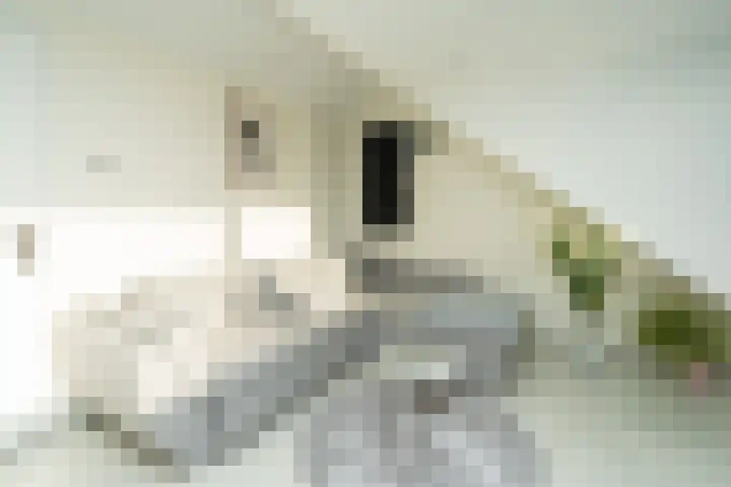 Malvert 2321 A Nijmegen thumbnail 21