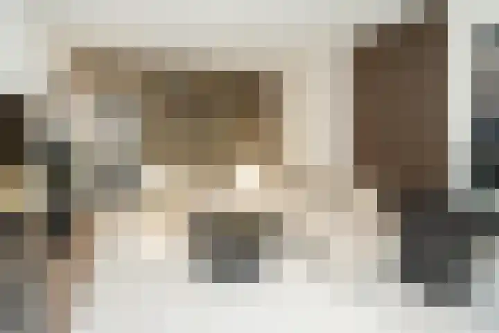 Malvert 2321 Nijmegen thumbnail 12
