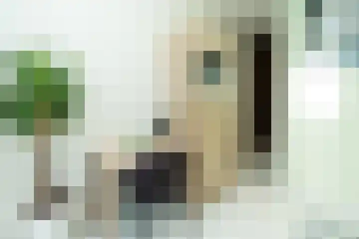 Malvert 2321 Nijmegen thumbnail 18