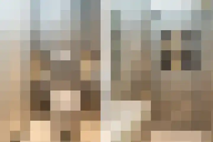 Malvert 2321 Nijmegen thumbnail 7