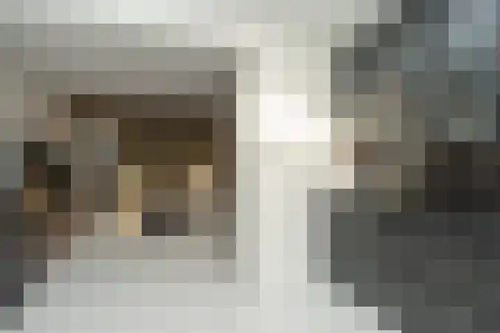 Malvert 2321 Nijmegen thumbnail 8