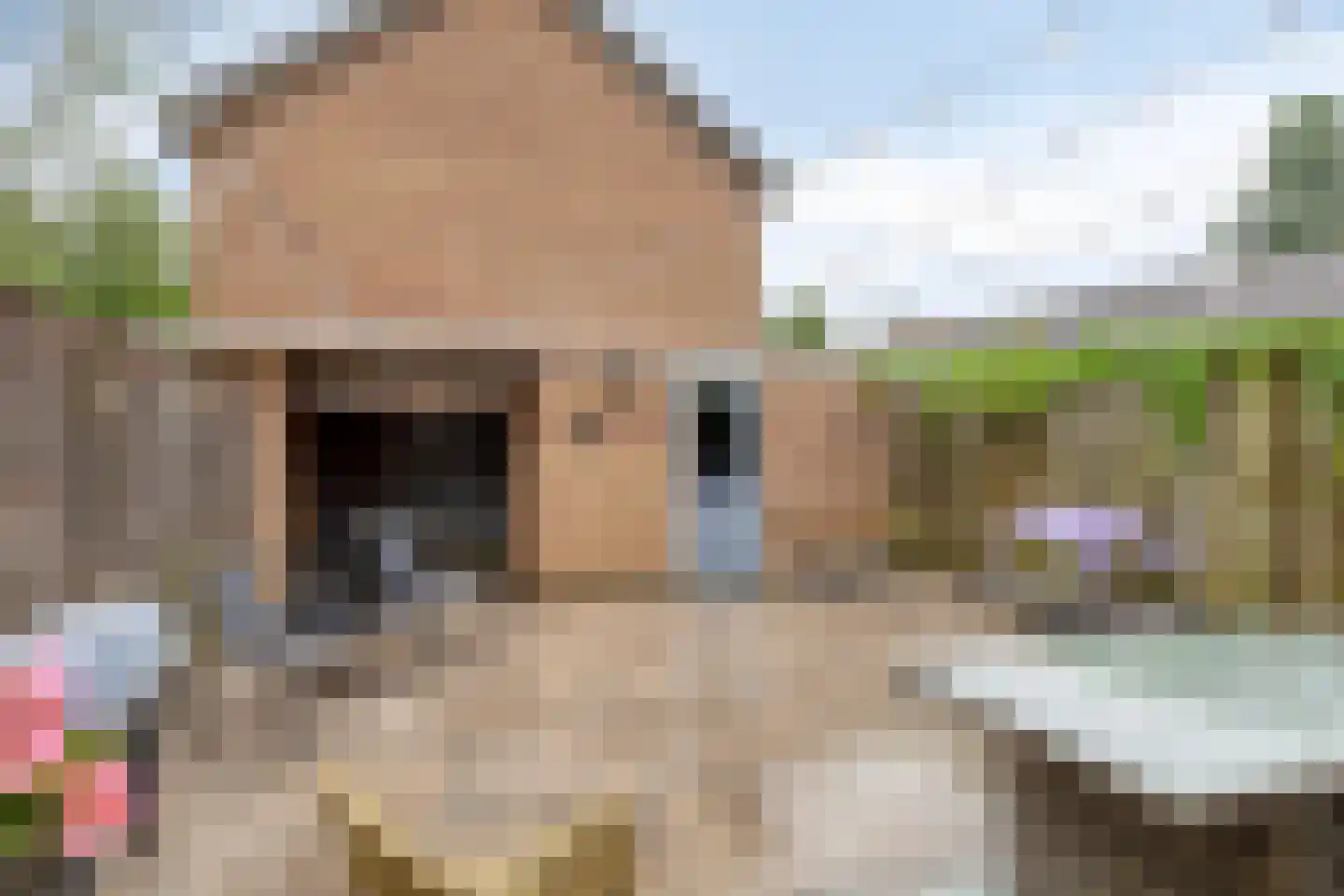 Malvert 2414 Nijmegen thumbnail 26