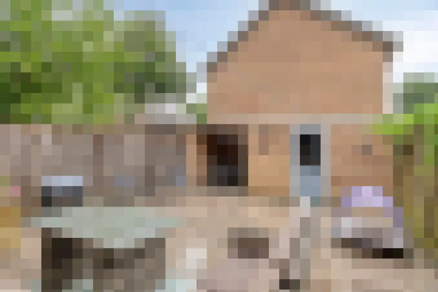 Malvert 2414 Nijmegen thumbnail 27