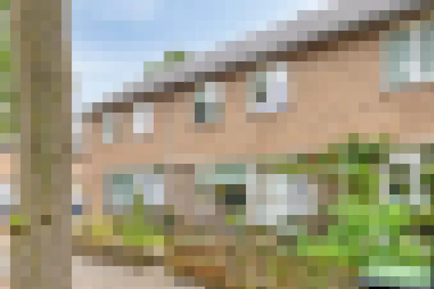 Malvert 2414 Nijmegen thumbnail 29