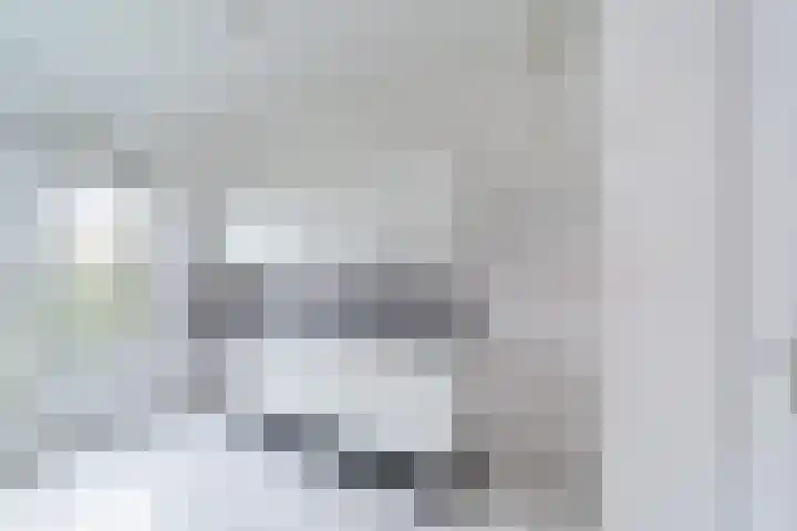 Malvert 2447 Nijmegen thumbnail 14