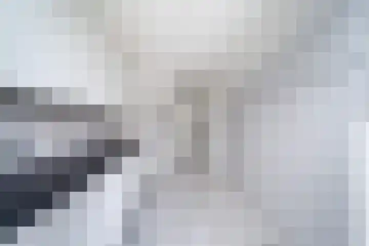 Malvert 2447 Nijmegen thumbnail 15