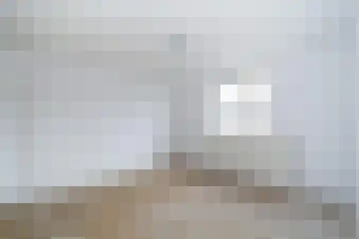 Malvert 2447 Nijmegen thumbnail 23