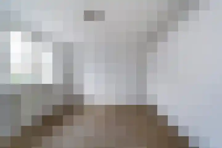 Malvert 2447 Nijmegen thumbnail 26