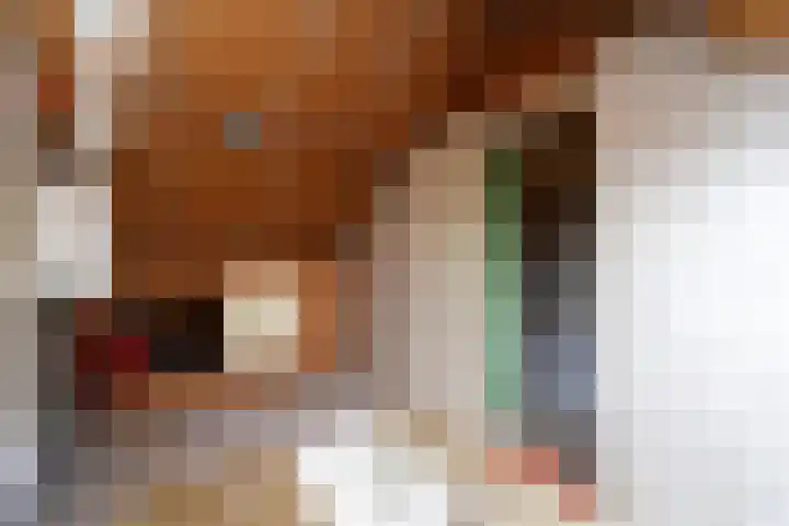 Malvert 2447 Nijmegen thumbnail 29