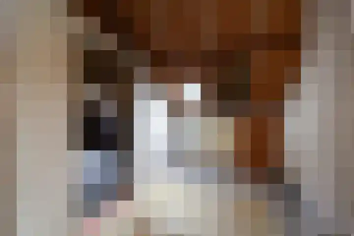 Malvert 2447 Nijmegen thumbnail 30