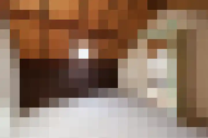 Malvert 2447 Nijmegen thumbnail 32