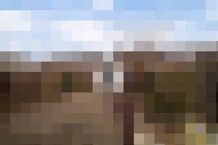 Malvert 2447 Nijmegen thumbnail 33