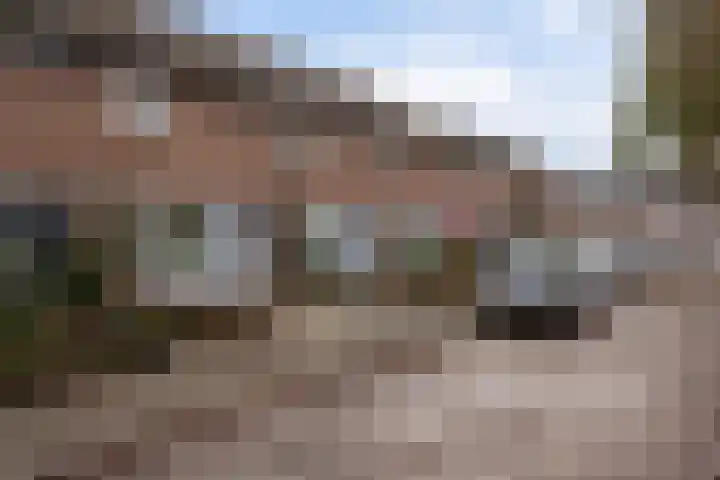 Malvert 2447 Nijmegen thumbnail 6