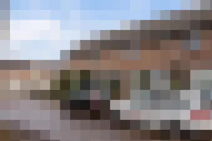 Malvert 2447 Nijmegen thumbnail 7
