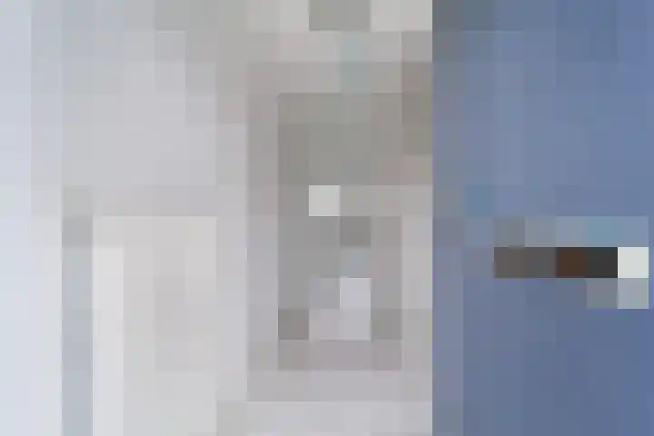Malvert 2447 Nijmegen thumbnail 8