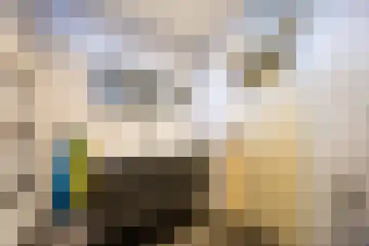 Malvert 2455 Nijmegen thumbnail 20