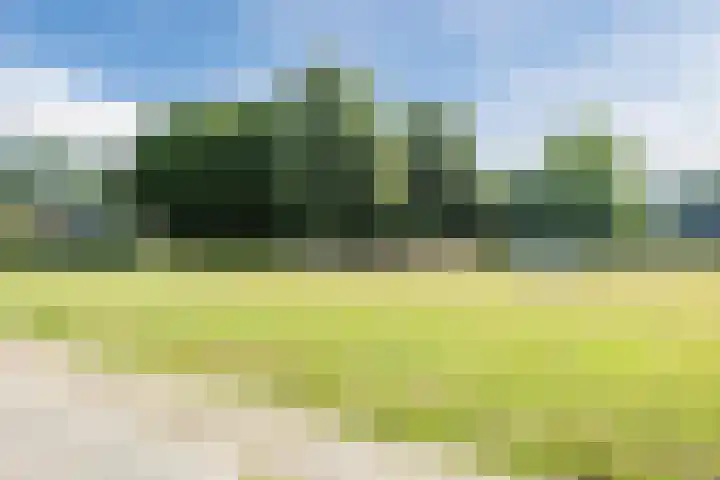 Malvert 2455 Nijmegen thumbnail 24