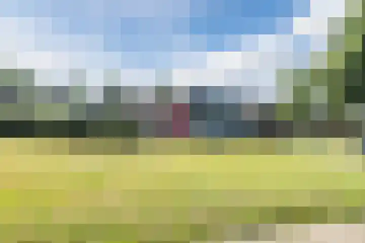 Malvert 2455 Nijmegen thumbnail 25