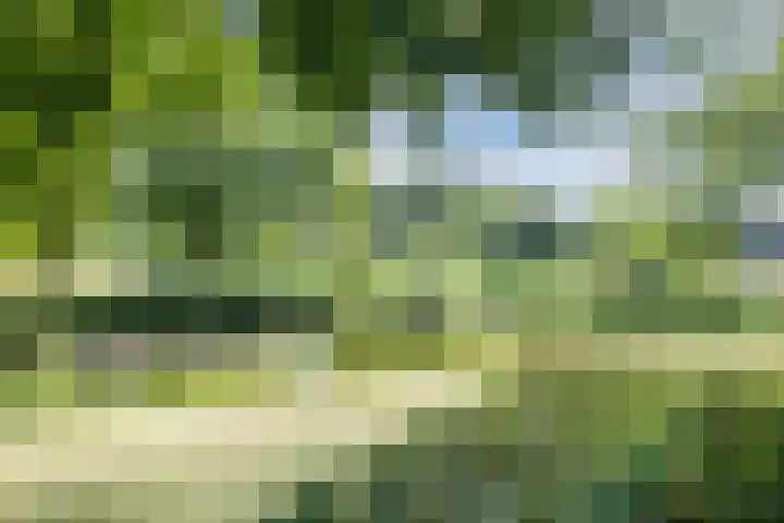 Malvert 2455 Nijmegen thumbnail 26
