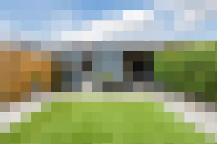 Malvert 2455 Nijmegen thumbnail 4