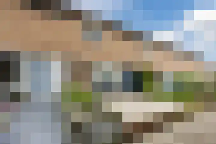 Malvert 2455 Nijmegen thumbnail 5