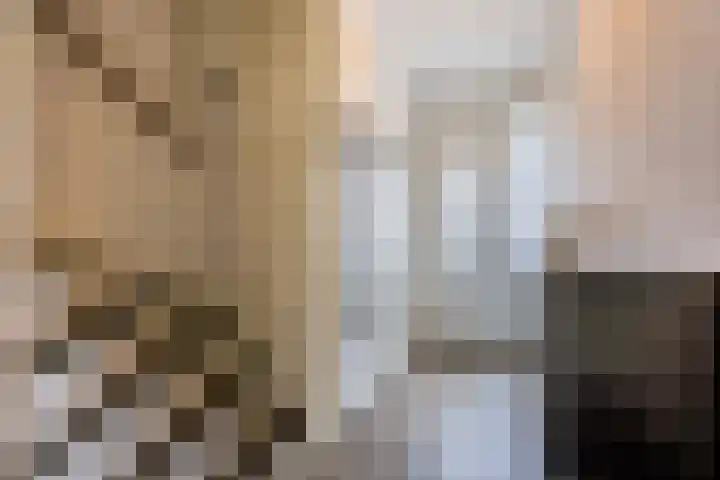 Malvert 2455 Nijmegen thumbnail 6