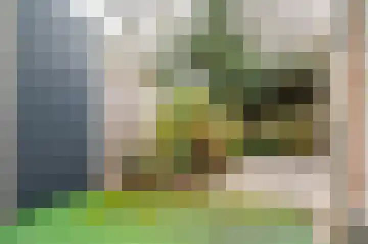 Malvert 2535 Nijmegen thumbnail 22