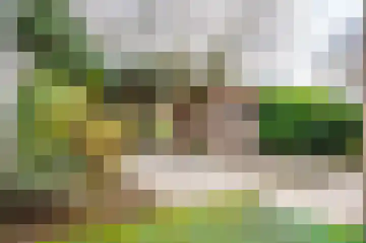Malvert 2535 Nijmegen thumbnail 24