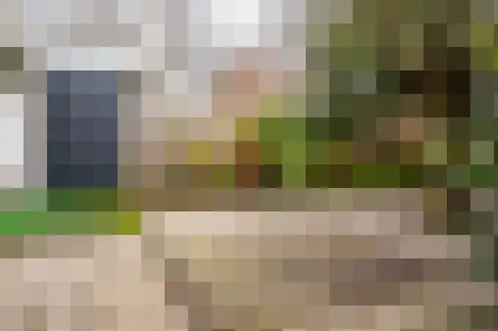 Malvert 2535 Nijmegen thumbnail 25