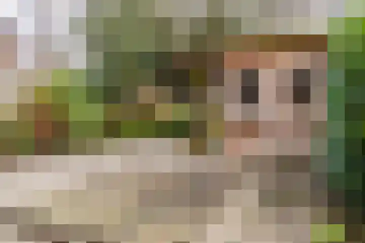 Malvert 2535 Nijmegen thumbnail 26